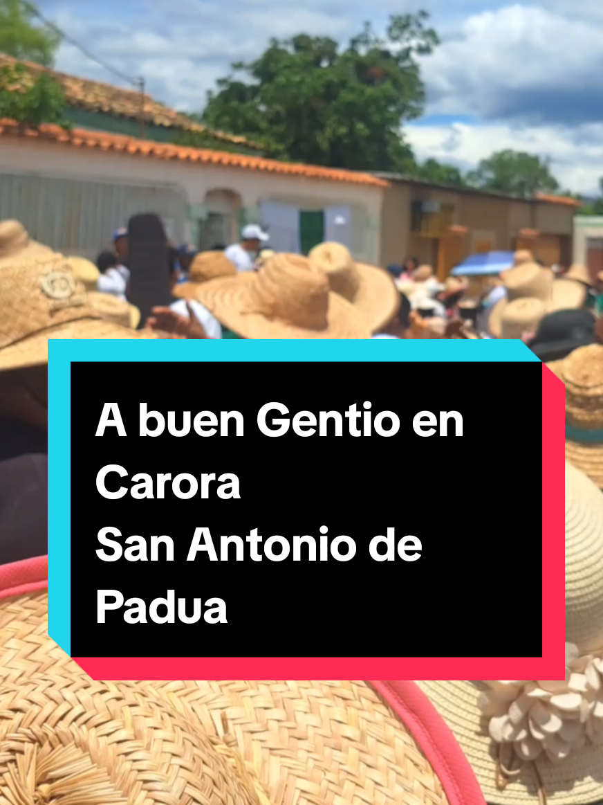 Hoy en Caror #lara #reels #sanatonio #padua 