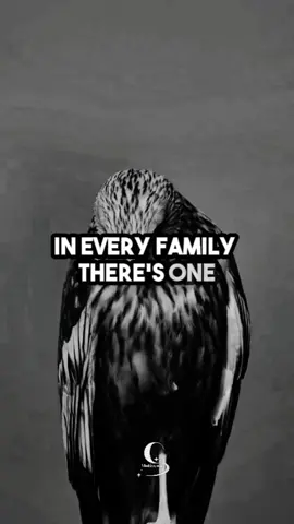 Best Motivational Quotes. Best Inspiration Quotes. Meaningful Quotes  #LifeAdvice #peoplemotivation #motivationalquotes #inspirationalquotes #powerofwords #wisewords #fypシ #foryoupage #unitedstates #usa #usa_tiktok #fypage #foruyou #trending #quotes @thequotecircle 