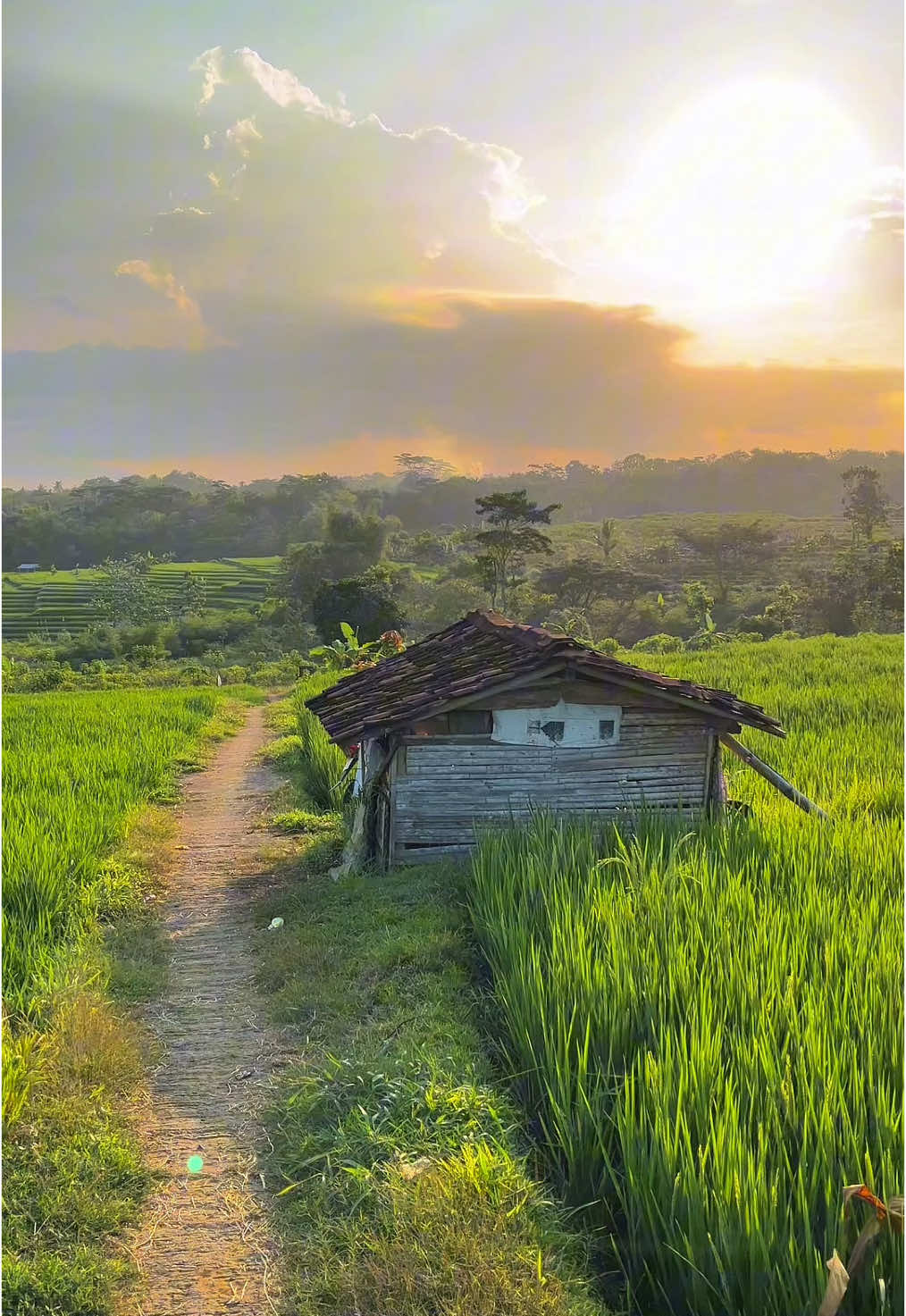 #hd #60fps #jawapride 