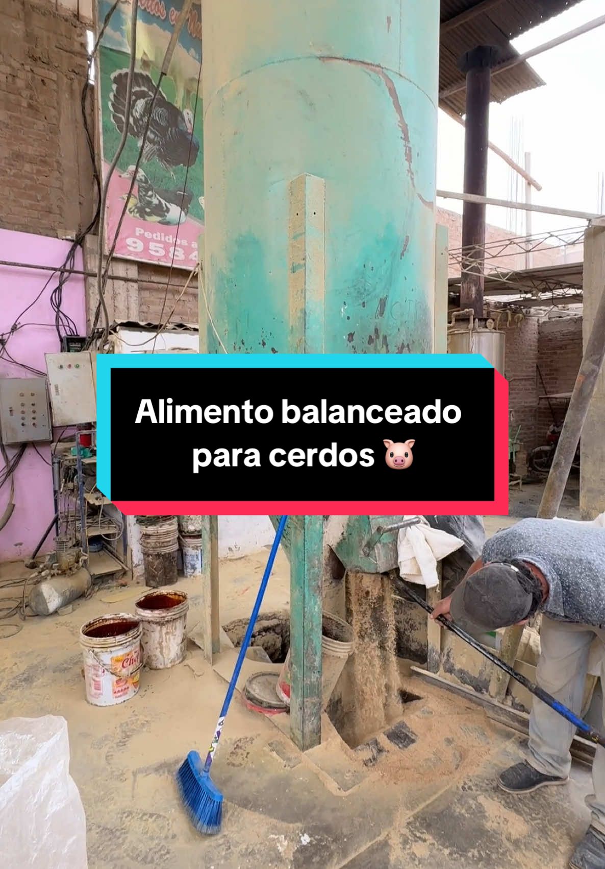 #fyp #viral #ganaderia #cerdos #porcicultura  #parati #motivacion #dios #ganaderoenproceso #engorde #chiclayo #lambayeque #dosificacion #medicamentos #desinfectar #dosificacion #pallets #alimentobalanceado 