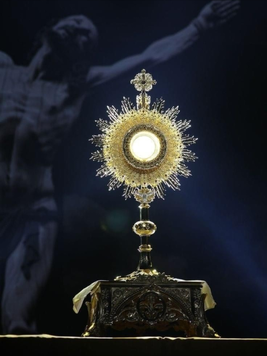 #catolicos #Jesus #amor #fé #igrejacatolica #senhor #musicascatolicas 