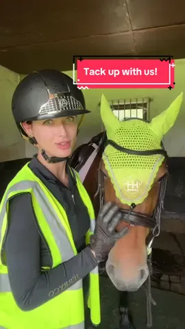 mocha blink twice if you need help @Jerryco clothing  #tackup #tackupwithme #equestrian #horsetok #horseriding #equine #horses #horsegirl #horse #horsesoftiktok #equestrianvibes #fyp #foryou #abcxyz 