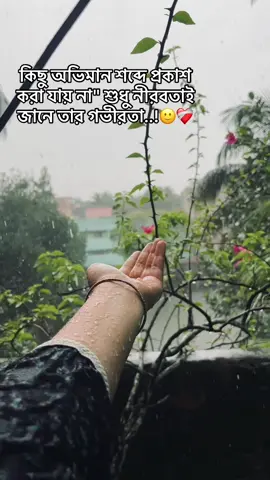 কিছু অভিমান শব্দে প্রকাশ করা যায় না