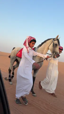 الشيوخ 🤩#اكسبلور #السبوق🏆♥️ #البطل_مرعب🔥🤍 #خيل_وخياله🐎 #شوط #الشعب_الصيني_ماله_حل😂😂 