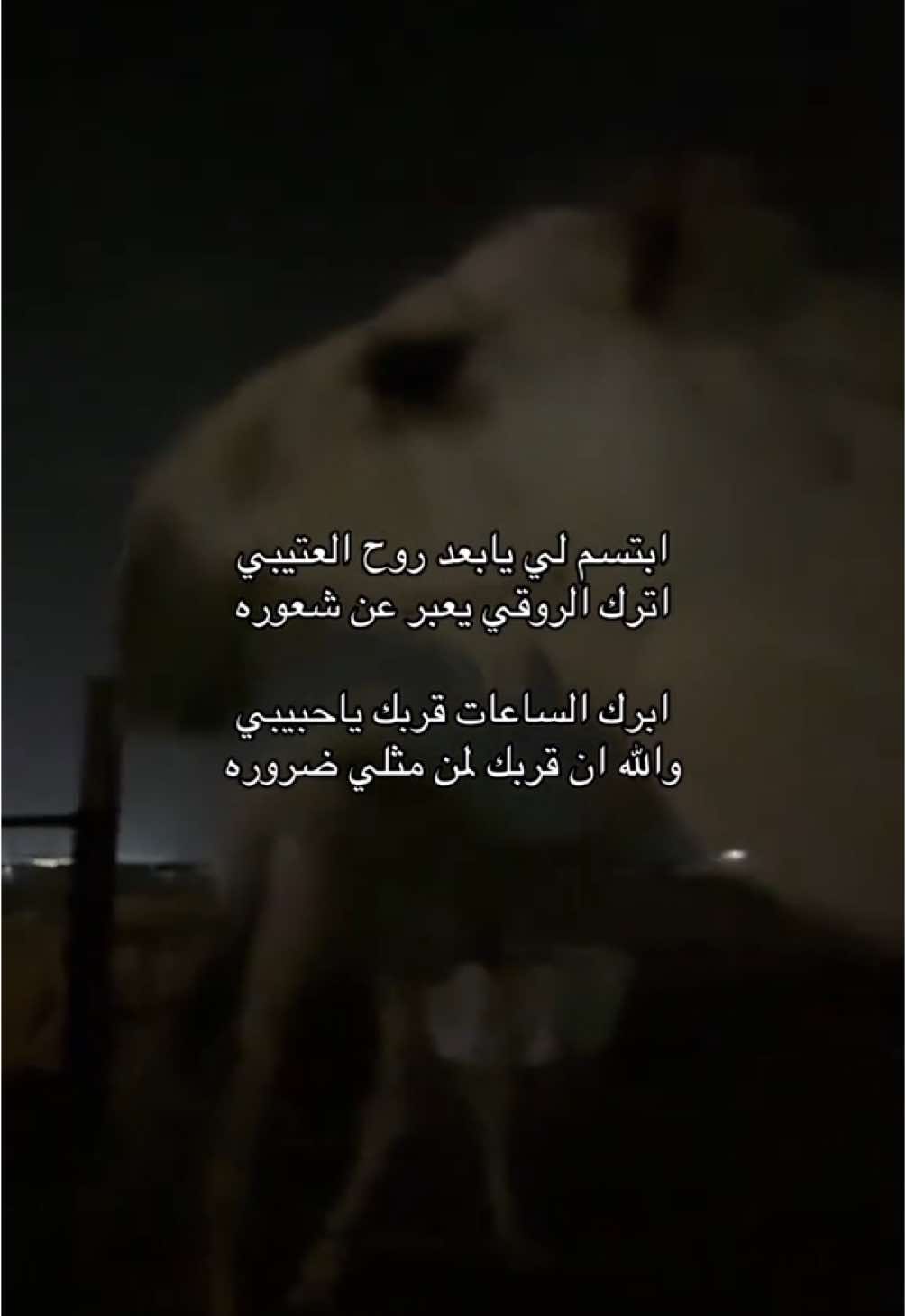 #الدوادمي #الهيلا #روق #برقا 