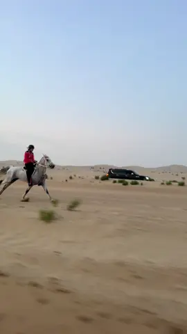 حتى مب أنا اللي في الفيديو 🙄 #fyp #explore #دبي #dubaiendurance #horseraces🏇🏻 #horseraces🏇🏻 #enduranceracing #endurancerace #ae #viral #viral 