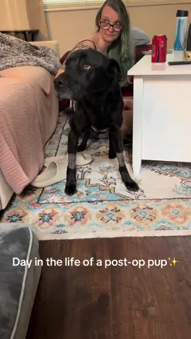 Miss Lucy had an emergency lung surgery last week, and she’s working on recovering. She needs all the food and sleep to get better ❤️‍🩹 wish her luck on her recovery journey #savelucy #dogtok #viral #trendingnow #furbaby #tiktokviral #fyp 