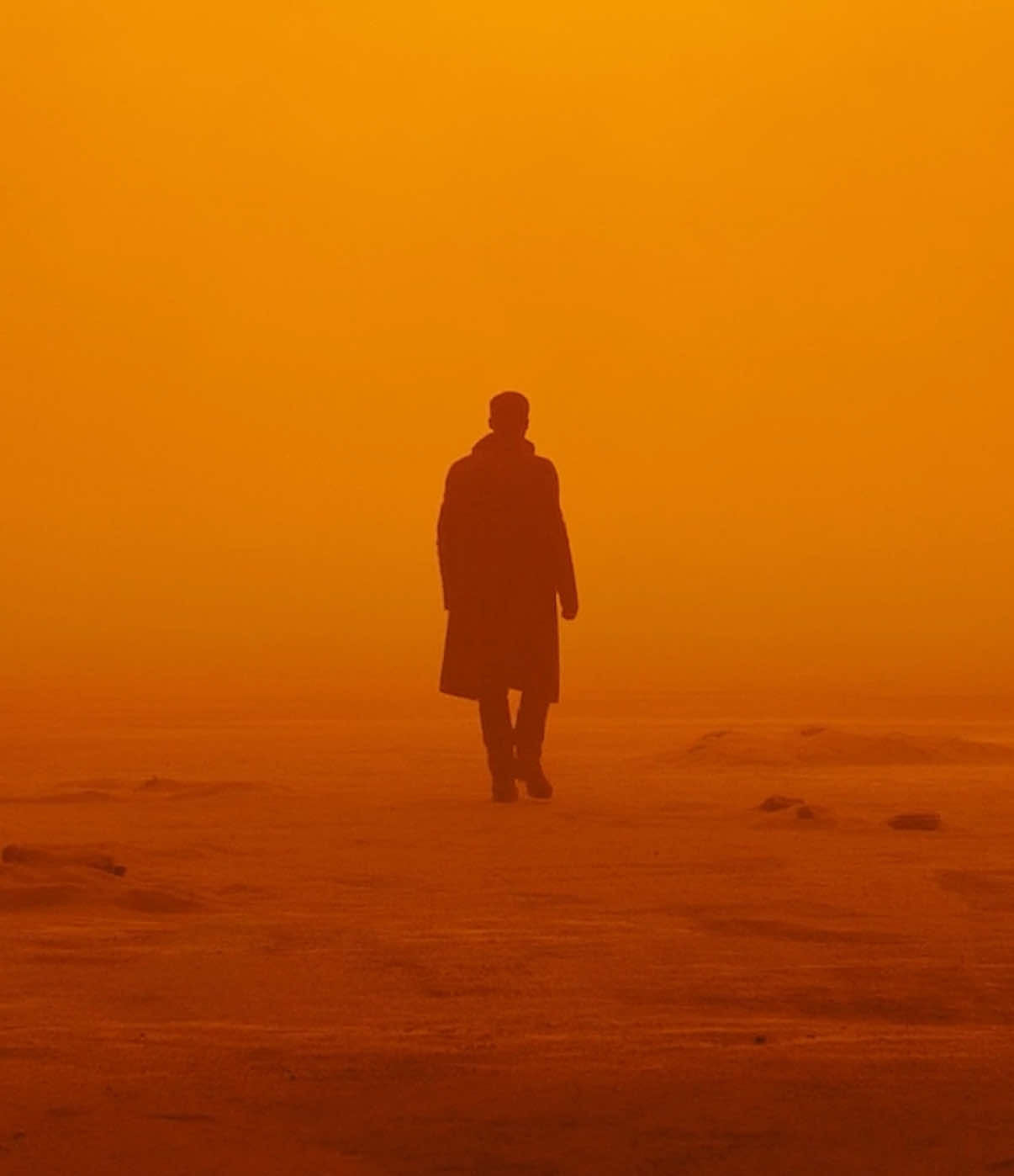 A Blade Runner 2049 edit. I thought Timeless went complimented the visuals and overall feel. Should I make more of these with different movies? #bladerunner2049 #movieedit #cinema #fyp 