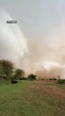 Ma jawigan oo kale..📍#dalxiis #traveltiktok #rain #wind #trees 