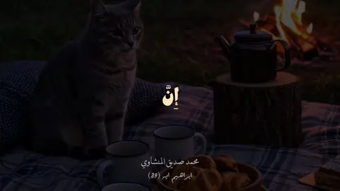 ~ صـليـ عـلي الـنبي .🤍 ٖ . ٖ #استغفروا_ربكم_انه_كان_غفارا #اكتب_شئ_توجر_عليه #استوريهات_واتساب #اكسبلورexplore #flpシ #foryou #flpシ 