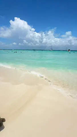 Playa Norte, Isla Mujeres hoy 13/6. 🇲🇽  #islamujeres #islamujeresmexico #cancun #cancunmexico #caribemexicano #sargazocancun #playadelcarmen #sargazo #sargazoplayadelcarmen #tulum #tulummexico 