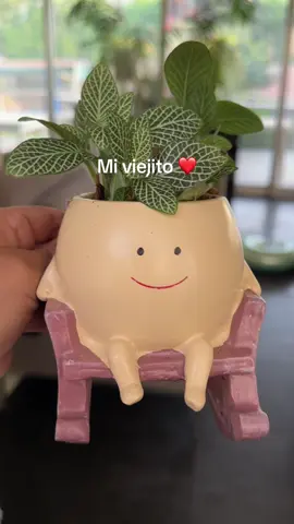 Maceta mecedora 
