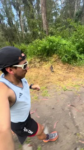 Y si esto no es vida …. Entonces que es ????       #trailrunner #trail #Running #ultrarunner #aventura #ecuador🇪🇨 #latinoamerica 