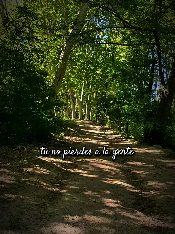 *Tú no pierdes la gente, las personas te pierden a tí* ✍️ #gente #personas #enamorarse #perdidas #sentir #corazon #perder #2025 