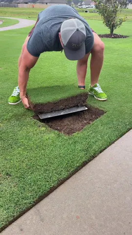 Never know what you’ll find! #LawnRenovation