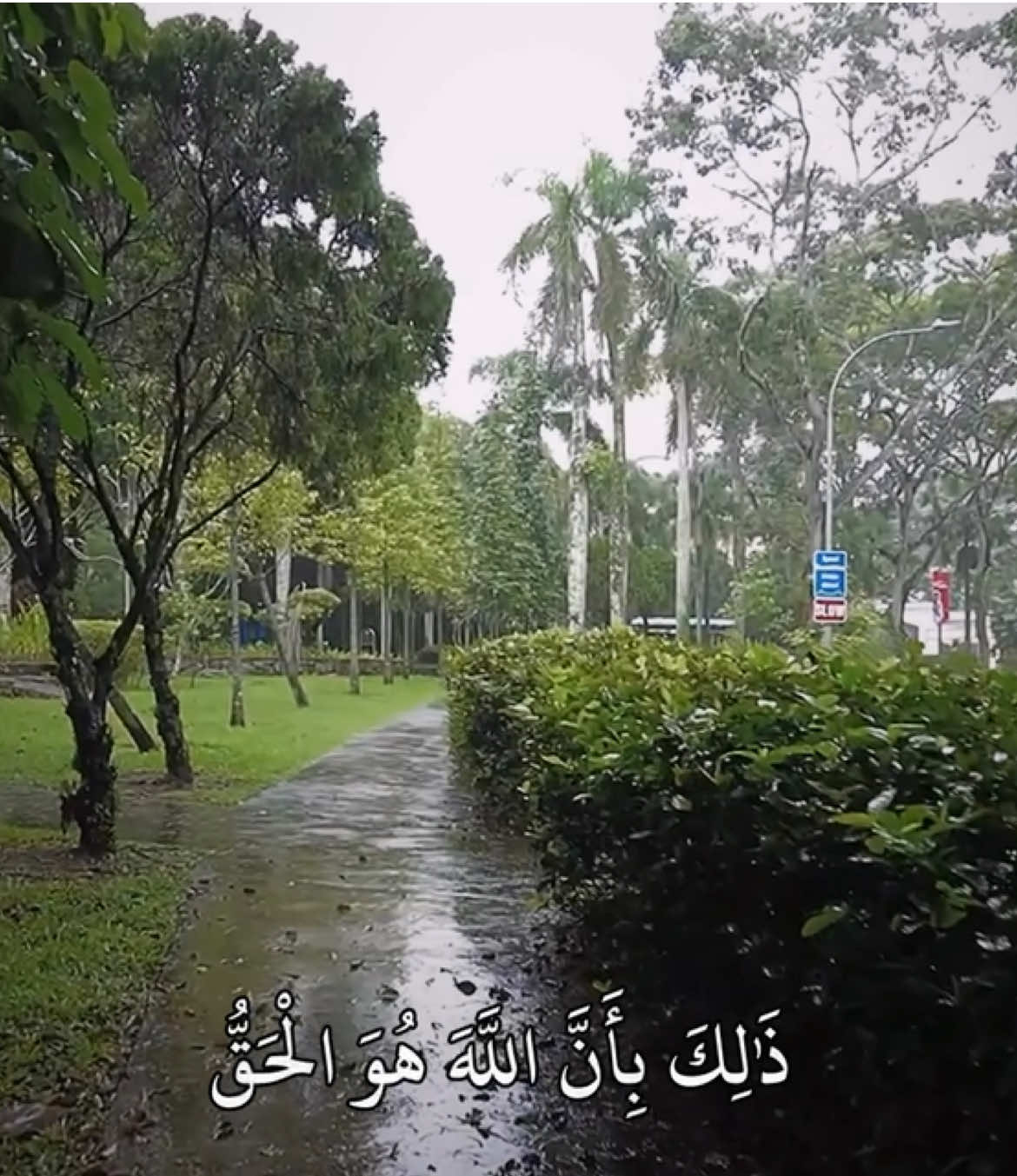 ذَٰلِكَ بِأَنَّ اللَّهَ هُوَ الْحَقُّ وَأَنَّ مَا يَدْعُونَ مِن دُونِهِ هُوَ الْبَاطِلُ وَأَنَّ اللَّهَ هُوَ الْعَلِيُّ الْكَبِيرُ (٦٢) _____________________________ سورة الحج | ماهر المعيقلي  _____________________________ #quran #quran_alkarim #قران_كريم #قران #تلاوات #ماهرالمعيقلي 