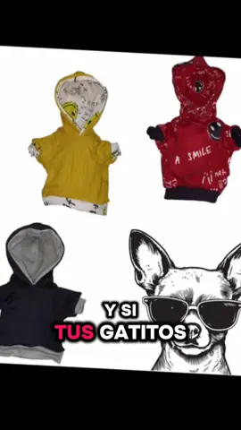 Ropa para tus perritos y gatitos diferentes modelos adquirimos y❤️🫶 