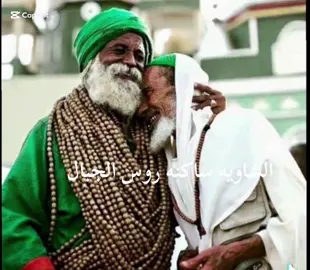 الشاويه ساكنه روس الجبال👹👻😈