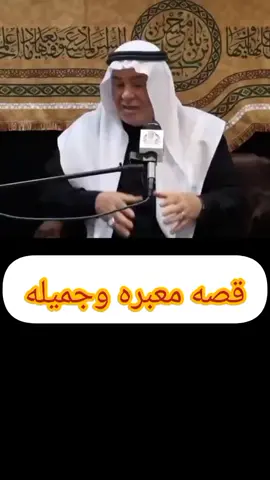 #الذئب #الوفاء_الحقيقي 