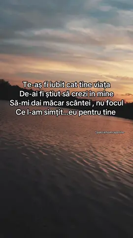 Poezia nu îmi aparține… este doar interpretarea mea  Felicitări autorului , este mai presus de cuvinte  #amintire #doaroameni #singurscriu #ratacitori #fy #fypage 