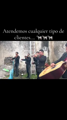 La vaca lola…! #lavacalola #mariachi #contenido #foryoupage 