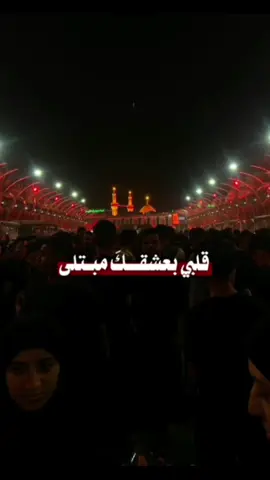 حبيبي يا حُسين ❤️‍🩹🍃#أمير_الحب_علي #ياعلي #يا_حسين #لبنان #العراق #إيران 