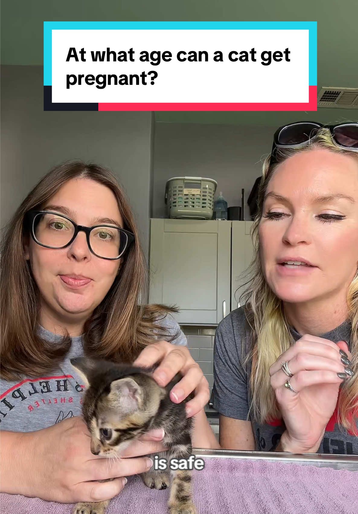 Did you know this??  Cats can become pregnant as early as FOUR MONTHS old!! This explains why we have such a crisis and extreme overpopulation of kittens and cats. Our shelter is currently maxed out with homeless kittens. It’s heartbreaking.  Please spay and neuter your kitties! Consult with your vet, ask all the questions, have a plan. 🤝❤️ #cattok #catsoftiktok #kittens #kittensoftiktok #spayandneuter #cateducation #catlife #catmom #catdad #catfacts 