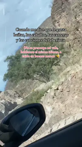 A caído en buenas manos 😌#laberinto #carreras #caballos #viral_video #parati #viral #foryoupage #parami #fyp #paratiiiiiiiiiiiiiiiiiiiiiiiiiiiiiii 