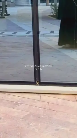 #الاحساء #مالي_خلق_احط_هاشتاقات 🌺