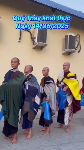 #thayminhtue # toàn cảnh khất thực ngày mới. của tăng đoàn Thầy Minh Tuệ 