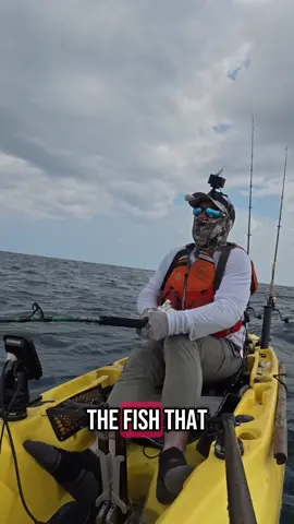 FISH OF A LIFETIME!!! #fishing #fyp #saltwaterfishing #kayakfishing 
