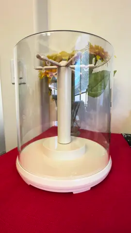 #tiktokshopunboxing #tiktokshoplevelup #ttssummerturnup #ttslevelup #tiktokshopsummerunboxing #tiktokshopcreatorpicks #storagedisplaycase