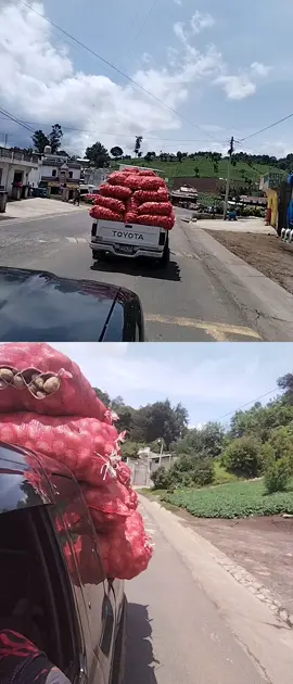 Vive la vida al máximo 💪