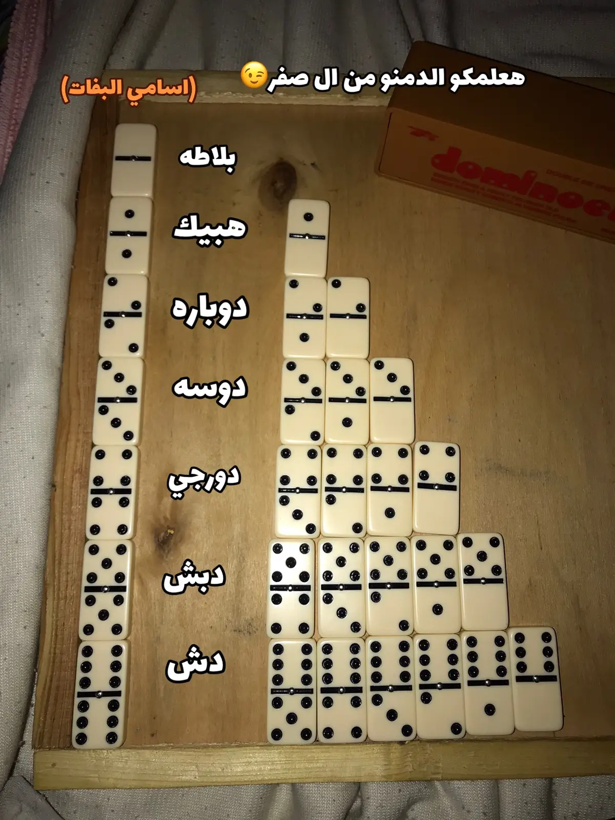 هعلمكو نطق كل اسامي الدمنو واللعب وهعلمكو كل حاجه ☝️😉#foryou #foryoupage #fyp 