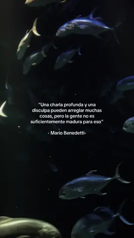 Sabias palabras…   #aquarium #aquario #citaenelaquario #pecesitos #contenidorandom #frasesdeamor #apoyoplis #paratiiiiiiiiiiiiiiiiiiiiiiiiiiiiiii #mujereslatinas #parati #fypシ 
