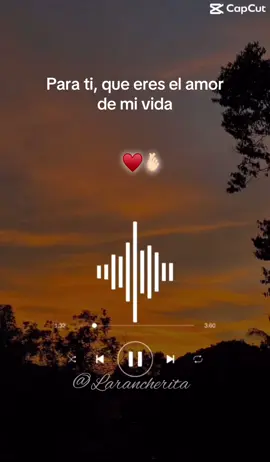 #latumbaseraelfinal #luchanporsepararnos #losinvasoresdenuevoleón #larancherita🌹🥰 #laranchera #karaoketiktok #paratimiamor❤️ 