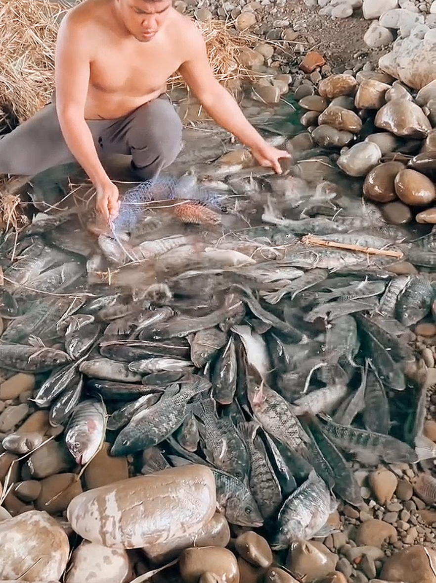 #fyp#fishing#ruralfishing #handfishing #netfishing  #fyp#fishtrapping #fishhunting#life#fishingvideo#Vlog#Indiafishing#bigfish#unique_fishing #fish_hunting🐟🐟🐟 #fishingvideos 