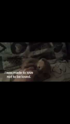 #fyp #iloveyou #fypシ #imy #exbf #cat #kitten #mp4 