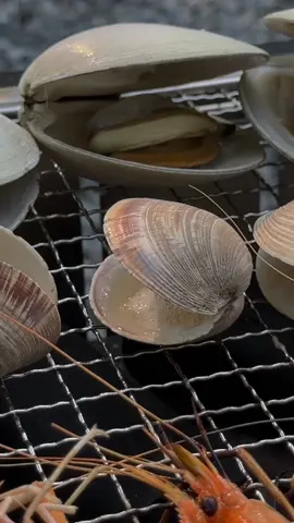 IGT 1.0ユニット折り畳みコンロでBBQ！🔥 肉ジュワッと、第一視点で超リアル！🌿 2.08kg軽量、灰捨て簡単！ゆるキャンプの旨さが炸裂！🏕️ #IGTコンロ #キャンプ #ゆるキャンプ #ソロキャンプ #キャンプ女子 #アウトドア #キャンプ好きと繋がりたい #春夏キャンプ #キャンプギア #BBQ #バーナーバッグ #キャンプ #ゆるキャンプ #ソロキャンプ #キャンプ女子 #アウトドア #キャンプ好きと繋がりたい #春夏キャンプ #キャンプギア #収納ハック #soomloom 