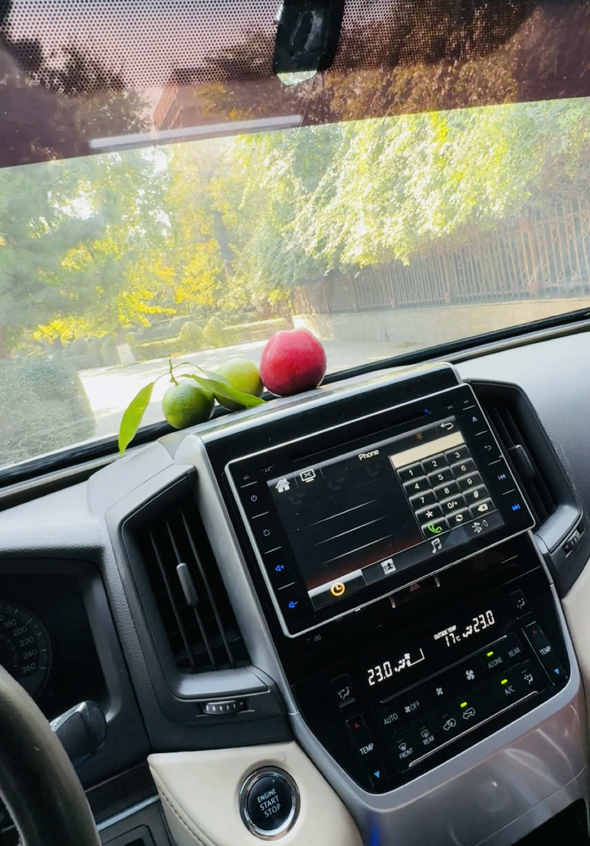 #afghanistan🏳️♥️ #tiger #☠️☠️☠️ #capcut  