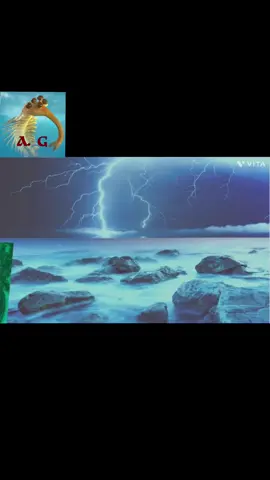 El estancamiento biológico  #prehistoric #biologia #evolution #ciencia #geologia #fyp 