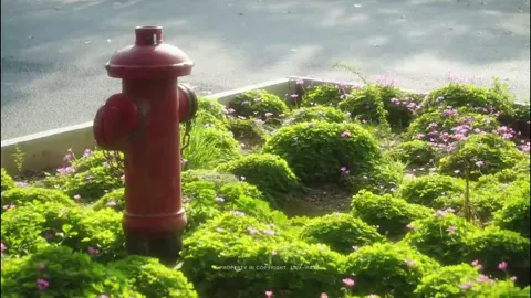 em có nhớ anh không? một phần hai nỗi nhớ thôi cũng được. #fyp #douyin 