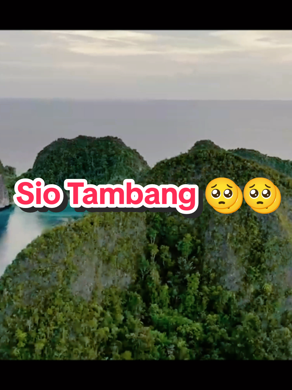 Raja Ampat sulam ikatan dengan Pulau Gebe, Siapa sangka banyak kantong oksigen yang tarabe, Sio e, Bebaskan 11 Warga Maba Sangaji tanpa syarat. Lekaslah membaik dan BERONTAKLAH ❤️ . . #RajaAmpat #SaveRajaAmpat #D'Facto #KingLaef #MabaSangaji #Halmahera #Gebe #vyp 