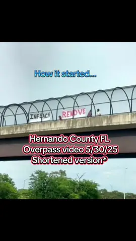 Hernando County FL Overpass video shortened version. 5/30/25 #peacefulprotest #springhill #hernandocounty #brooksville #nokings #fldems #fldems #antifascist #50501florida #50501movement #civildisobedience 