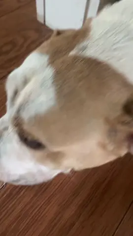🥰