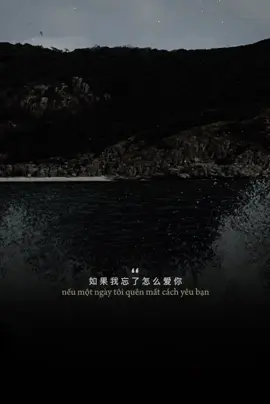 #CapCut Nếu Một Ngày Nào Đó Tôi Lại Quên Đi #nhachaymoingay #tramdung1293 #music 