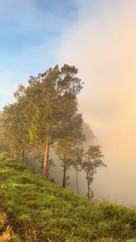 CANTIKK🤩 #bukitnanggi2030mdpl #pendakiindonesia #fyp 