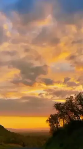 أه صبري ..صبري  🎶البلابل #السودان🇸🇩 