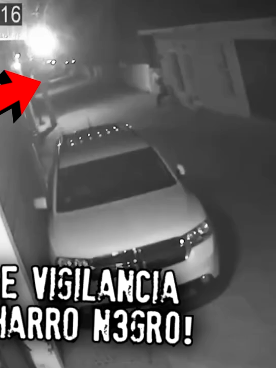 ¡Cámara de vigilancia graba al Charro N3gr0!