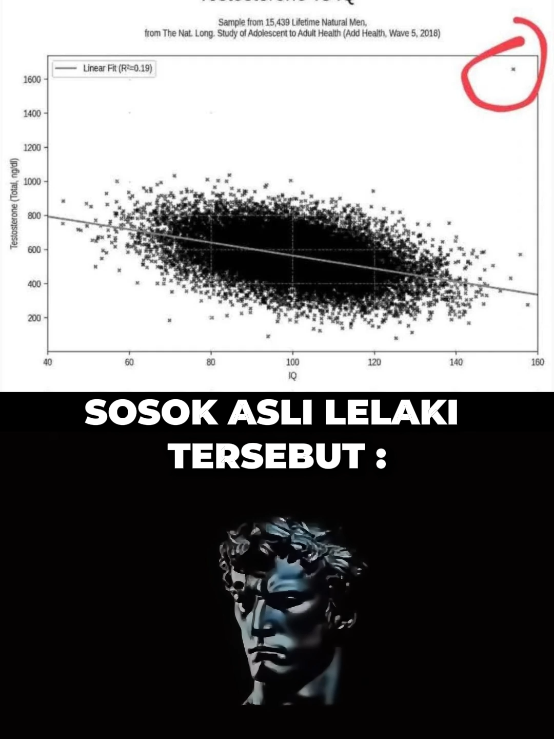 TESTOSTERON . . . #mindset #motivasisukses #SelfImprovement #gayahidup #sigma #motivasihidup #quotes #dailymotivation।। #sukses #miliarder #fyp #inspirasi #tiktok #viral #workout #motivational #foryourpage #fypジ #fypp #fyppppppppppppppppppppppp